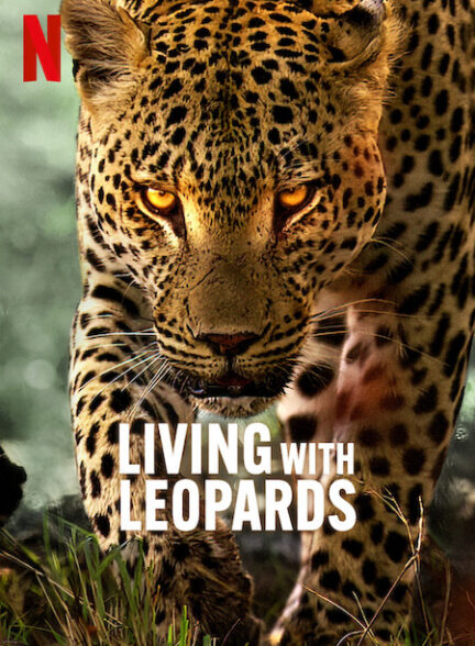 دانلود فیلم Living with Leopards / زندگی با پلنگ ها