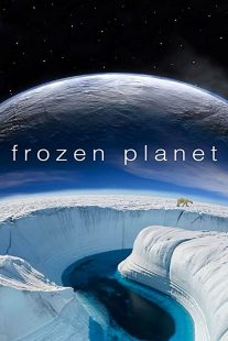 دانلود سریال  Frozen Planet