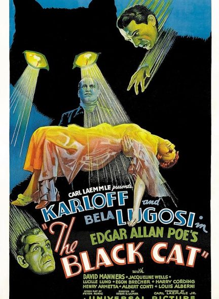 دانلود فیلم The Black Cat / گربه سیاه