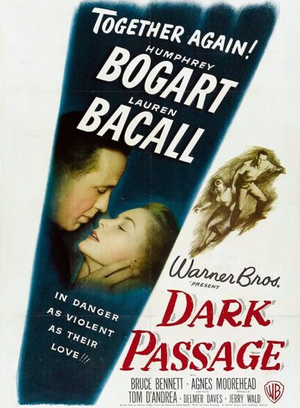 دانلود فیلم Dark Passage / گذرگاه تاریک