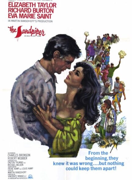 دانلود فیلم The Sandpiper / مرغ دریایی