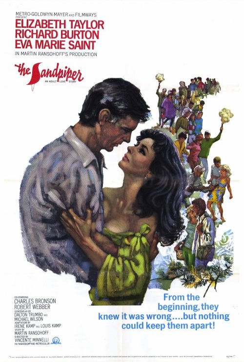 دانلود فیلم The Sandpiper / مرغ دریایی