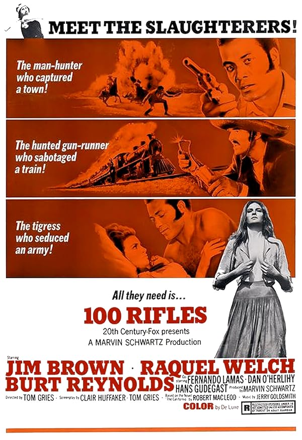 دانلود فیلم 100 Rifles / صد اسلحه