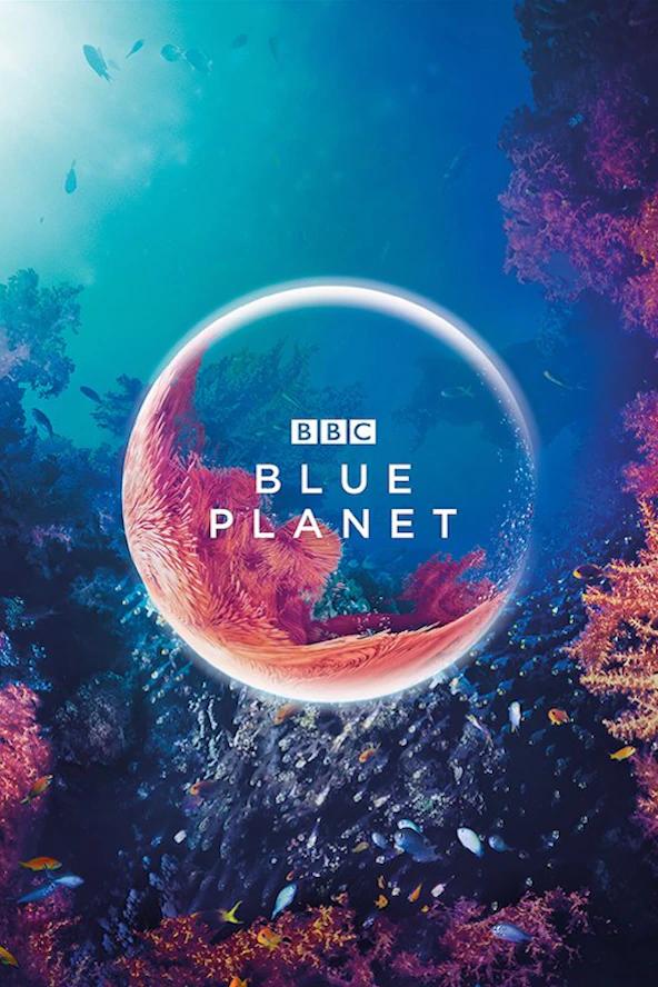 دانلود سریال  The Blue Planet / سیاره ی آبی